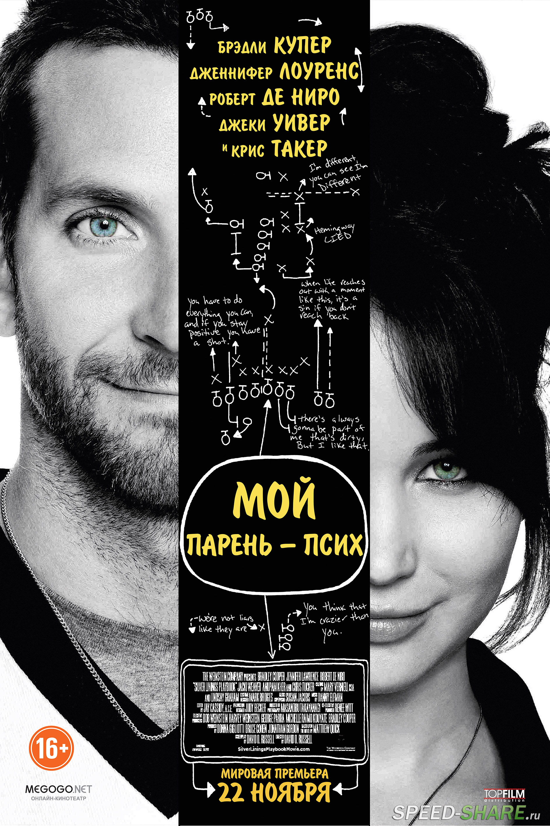 Мой парень – псих / Silver Linings Playbook (2012)  DVDRip | Лицензия